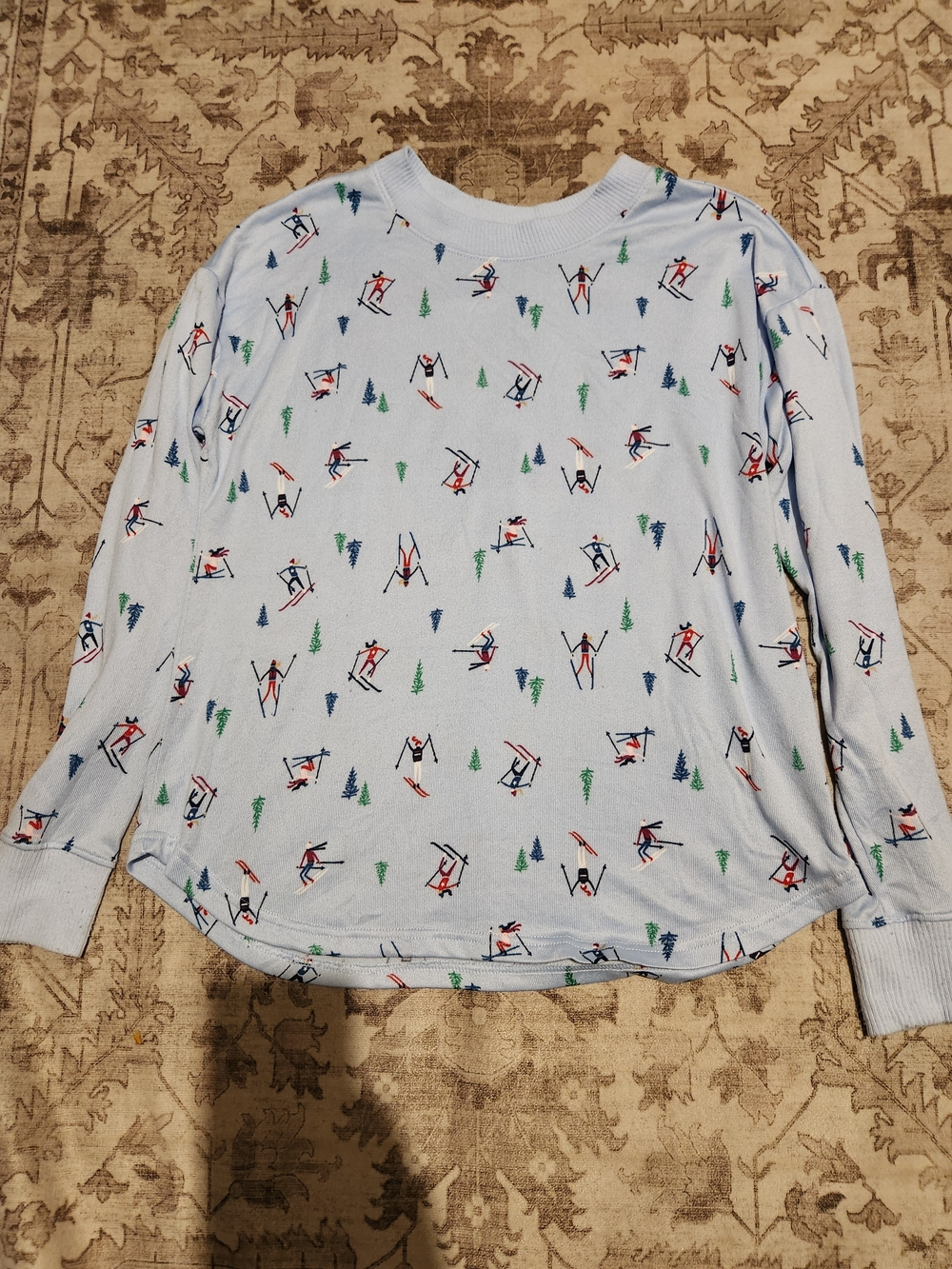 Light Blue Long-Sleeve Ski Print Tee for Women - Casual Crew